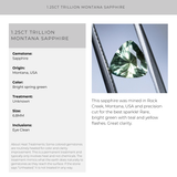 1.25CT TRILLION MONTANA SAPPHIRE, BRIGHT SPRING GREEN WITH YELLOW, 6.8MM