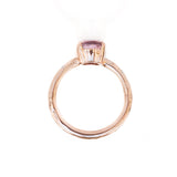 Low Profile 4-Prong with Embedded Diamonds - Setting