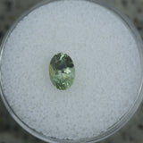 1.06CT OVAL MONTANA SAPPHIRE, MINTY GREEN, 7.15X5MM