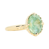 3.93ct Untreated Oval Seafoam Montana Sapphire Scallop Cup Solitaire in 14k Yellow Gold