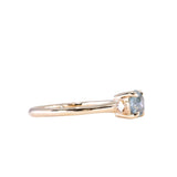 0.80ct Untreated Montana Sapphire and Princess Cut Diamond Rapids Low Profile Ring in 14k Yellow Gold