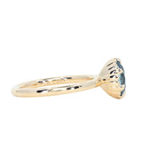 1.94ct Oval Precision Cut Untreated Blue Montana Sapphire Scallop Cup Solitaire in 14k Yellow Gold