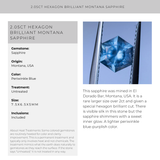 2.05CT HEXAGON BRILLIANT MONTANA SAPPHIRE, PERIWINKLE BLUE, UNTREATED, 7.5X6.5X5MM