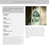 2.54CT MOVAL MONTANA SAPPHIRE, AQUA BLUE TEAL, 10.6X6.69X4.69MM, UNTREATED