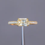 Low Profile Solitaire with French Set Diamonds in Band - Setting