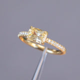 Low Profile Solitaire with French Set Diamonds in Band - Setting