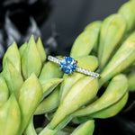 Low Profile Solitaire with French Set Diamonds in Band - Setting