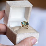 6.85ct Parti Sapphire Diamond-studded Six Prong Split Shank Solitaire in 18k Yellow Gold