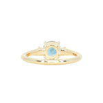 1.03ct Round Montana Sapphire and Princess Cut Diamond Rapids Low Profile Ring in 14k Yellow Gold