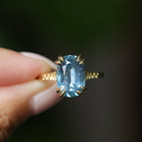 4.25ct Antique Style Elongated Cushion Untreated Montana Sapphire Vine Cathedral Four Prong Ring in 18k Yellow Gold
