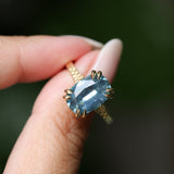 4.25ct Antique Style Elongated Cushion Untreated Montana Sapphire Vine Cathedral Four Prong Ring in 18k Yellow Gold