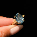 4.25ct Antique Style Elongated Cushion Untreated Montana Sapphire Vine Cathedral Four Prong Ring in 18k Yellow Gold