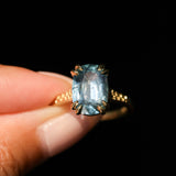 4.25ct Antique Style Elongated Cushion Untreated Montana Sapphire Vine Cathedral Four Prong Ring in 18k Yellow Gold