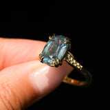4.25ct Antique Style Elongated Cushion Untreated Montana Sapphire Vine Cathedral Four Prong Ring in 18k Yellow Gold