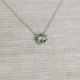 0.75ct Green Montana Sapphire Six Prong Necklace in 14k White Gold
