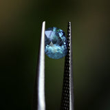 1.38CT PRECISION CUT OVAL MONTANA SAPPHIRE, OCEAN BLUE TEAL, 7.0X6.0X4.4MM