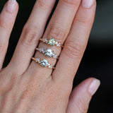 Starry Night Diamond Solitaire Low Profile - Setting