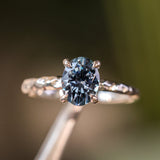 1.67ct Untreated Montana Sapphire Evergreen Carved 4 Prong Solitaire in Platinum