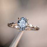 1.67ct Untreated Montana Sapphire Evergreen Carved 4 Prong Solitaire in Platinum