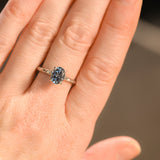1.67ct Untreated Montana Sapphire Evergreen Carved 4 Prong Solitaire in Platinum