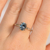 1.67ct Untreated Montana Sapphire Evergreen Carved 4 Prong Solitaire in Platinum