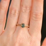 0.85ct Oval Precision Cut Ocean Blue Montana Sapphire Evergreen Carved 4 Prong Solitaire in 14k Yellow Gold