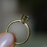 2.07ct Precision Cut Untreated Teal Oval Montana Sapphire Diamond-studded Sea Star Solitaire in 18k Yellow Gold