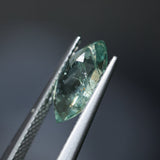 2.24CT MARQUISE MONTANA SAPPHIRE, SEAFOAM GREEN TEAL, 14.1X5.5MM