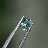 1.51CT PRECISION CUT OVAL MONTANA SAPPHIRE, MEDIUM TEAL BLUE GREEN, 7X6MM