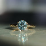 2.10ct Round Parti Blue Montana Sapphire Six Prong Evergreen Carved Solitaire in 14k Yellow Gold