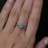 2.10ct Round Parti Blue Montana Sapphire Six Prong Evergreen Carved Solitaire in 14k Yellow Gold