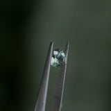 1.06CT ROUND MONTANA SAPPHIRE, LIGHT PARTI YELLOW BLUE, UNTREATED, 6.1X4MM
