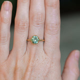 1.93ct Oval Silky Teal Montana Sapphire Scallop Cup Solitaire in 18k Yellow Gold