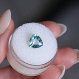 2.31CT TRILLION MONTANA SAPPHIRE, SOFT BLUE, 8.4MM - APPRAISED STONE
