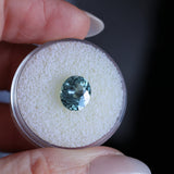 2.40CT OVAL MONTANA SAPPHIRE, DUSTY BLUE, UNTREATED, 9X7.8MM