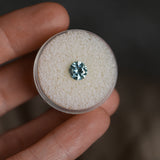 1.26CT ROUND MONTANA SAPPHIRE, COLOR SHIFTING BLUE TO GREY, UNTREATED, 6.5X4MM
