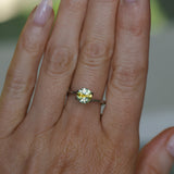 1.39CT ROUND PRECISION CUT MONTANA SAPPHIRE, BICOLOR YELLOW BLUE, 6.6X4.3MM