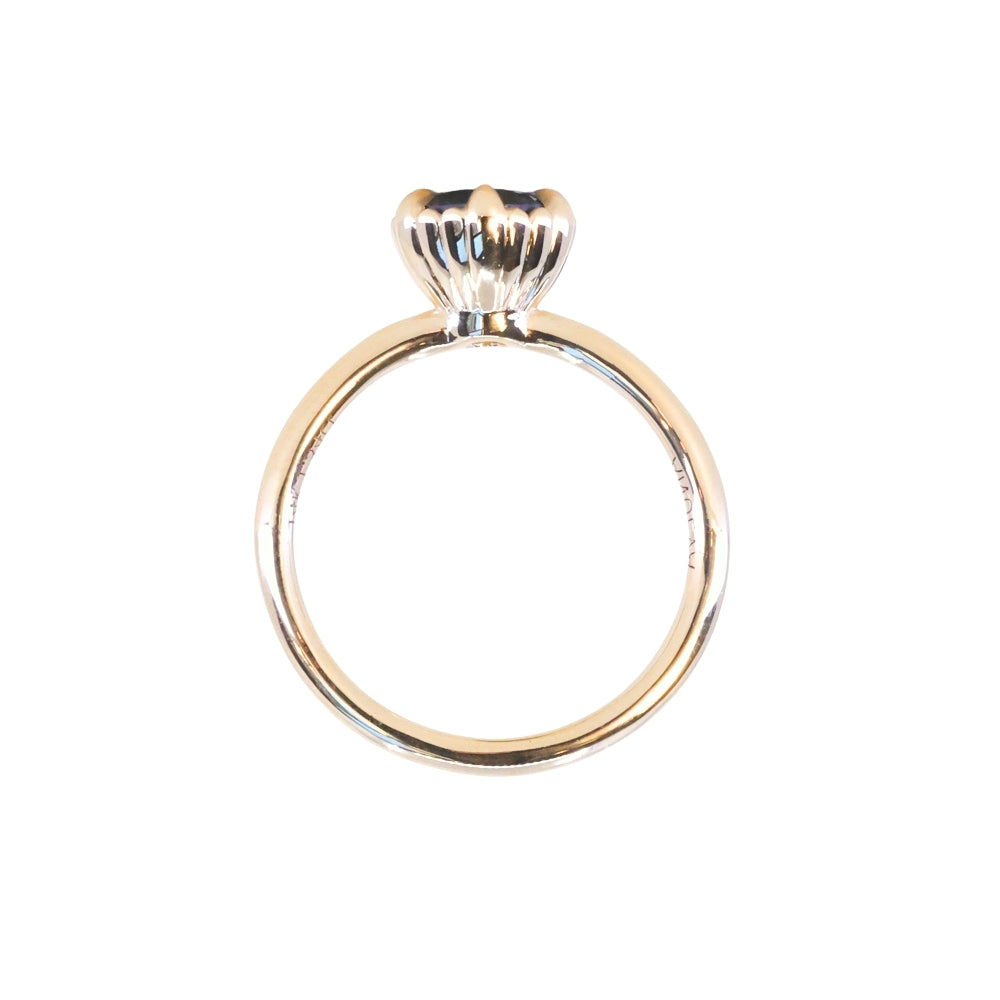 1.34ct Round Teal Montana Sapphire Scallop Cup Solitaire in 14k Yellow Gold