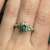 Knife Edge Diamond Studded Split Shank - Setting