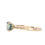 1.47ct Round Teal Montana Sapphire Evergreen Carved 4 Prong Solitaire in 14k Yellow Gold