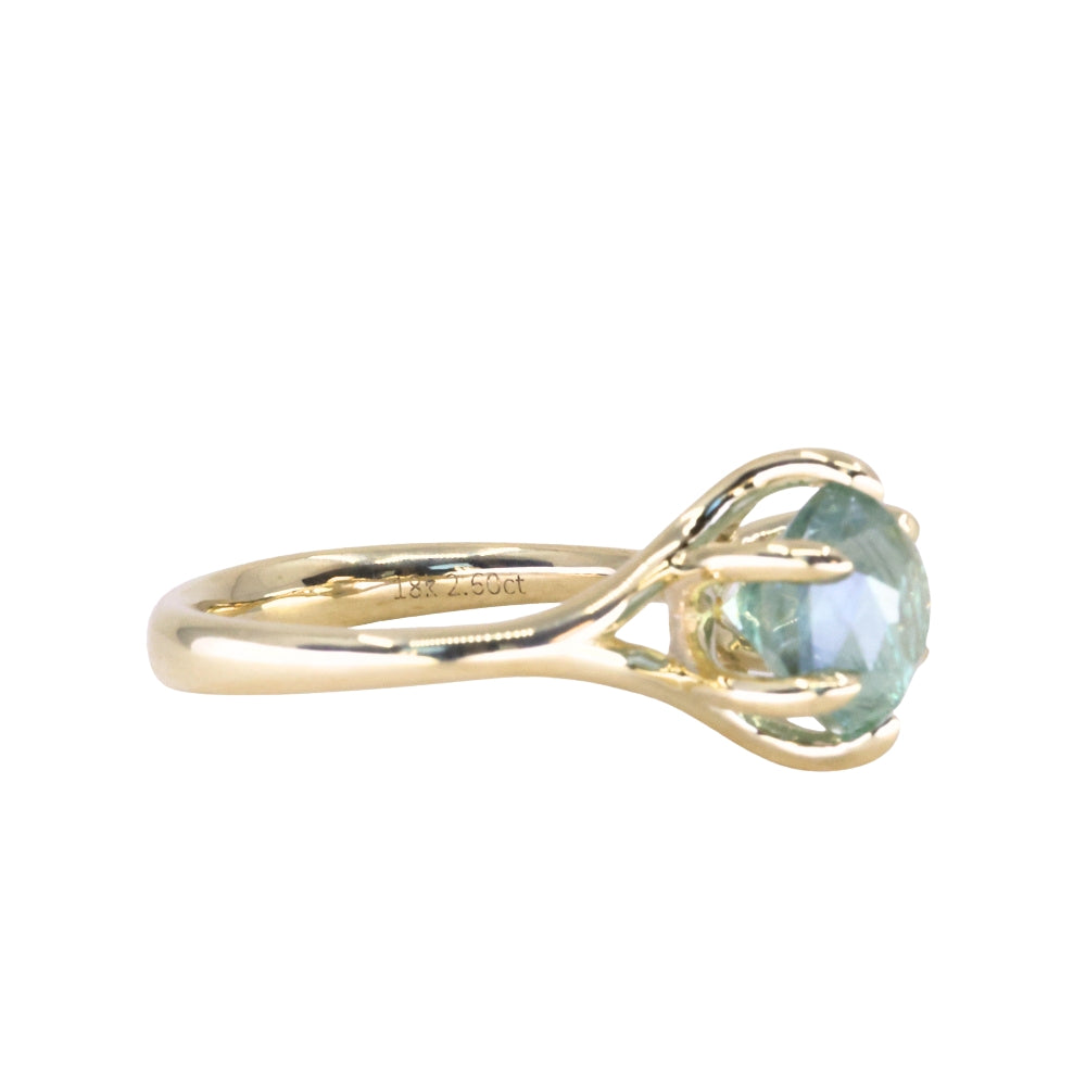 2.60ct Unheated Hexagon Montana Sapphire Low Profile Six Prong Split Shank Solitaire in 18k Yellow Gold