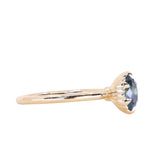 1.20ct Oval Untreated Montana Sapphire Scallop Cup Solitaire in 14k Yellow Gold