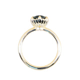 1.93ct Oval Silky Teal Montana Sapphire Scallop Cup Solitaire in 18k Yellow Gold