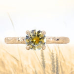 1.14ct Round Bicolor Montana Sapphire Evergreen Carved 4 Prong Solitaire in 14k Yellow Gold