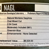 2.54CT MOVAL MONTANA SAPPHIRE, AQUA BLUE TEAL, 10.6X6.69X4.69MM, UNTREATED