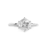 6 Prong Evergreen Solitaire - Setting