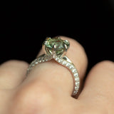 Knife Edge Diamond Studded Split Shank - Setting
