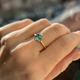 1.94ct Oval Precision Cut Untreated Blue Montana Sapphire Scallop Cup Solitaire in 14k Yellow Gold