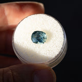 2.36CT FANCY PRECISION CUSHION MONTANA SAPPHIRE, LIGHT OCEAN BLUE, 8.35X7.15X5.17MM