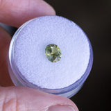 1.27CT PRECISION CUT OVAL MONTANA SAPPHIRE, OLIVE GREEN AND YELLOW, 6.89X5.84X4.36MM